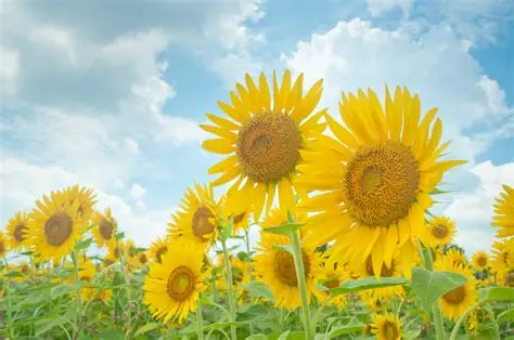 夏に向けて“冷えない体”へ 〜今整えれば夏がもっと楽になる〜